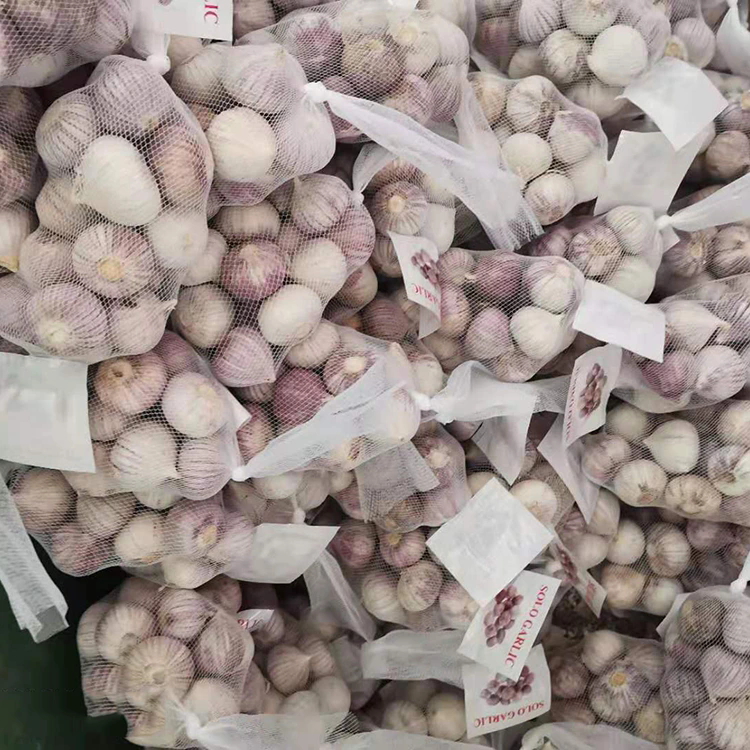स्टोरेज आणि इंटरनॅशनल शिपिंग दरम्यान ताजे लसूण मोल्ड का विकसित करते?