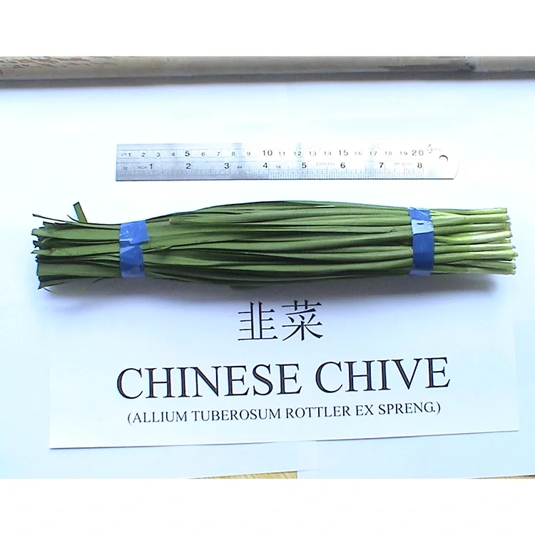 फार्म ताज्या चीनी Chives