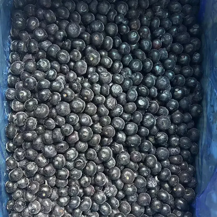 फ्रोजन ब्लूबेरी प्रीमियम आयक्यूएफ ब्लूबेरी