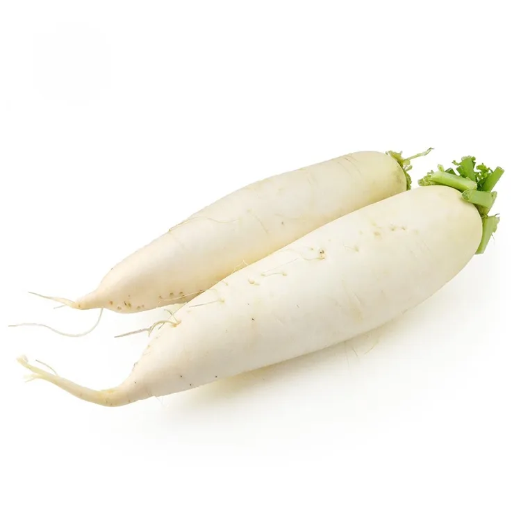 Crunchy White Radish