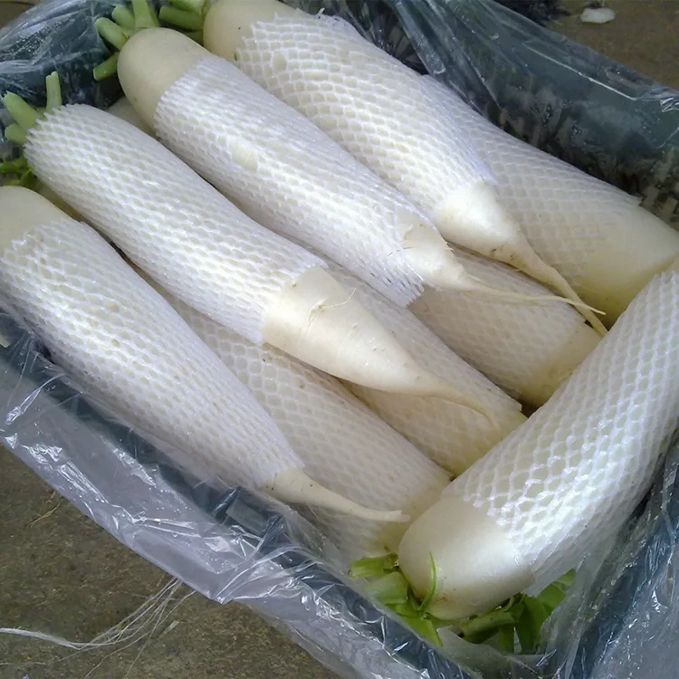 Crunchy White Radish