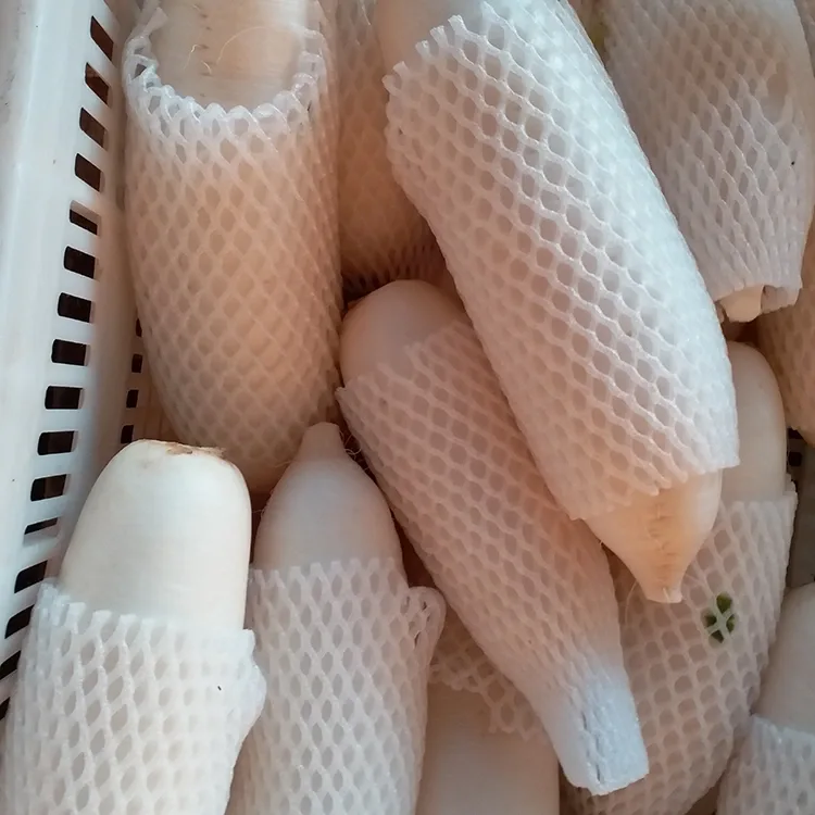 Crunchy White Radish