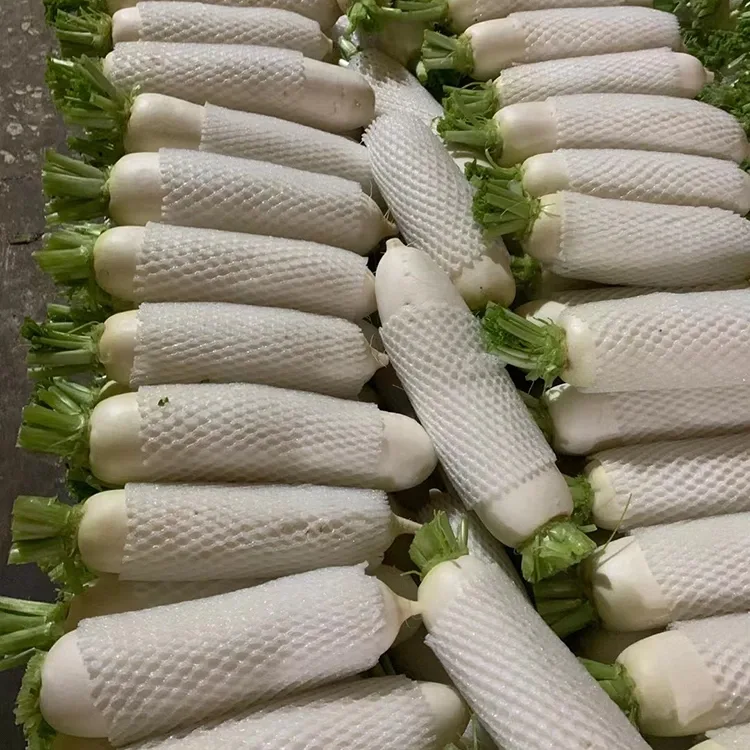 Crunchy White Radish