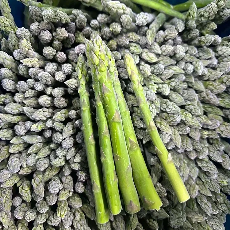 गोठलेले हिरवे शतावरी निवडले