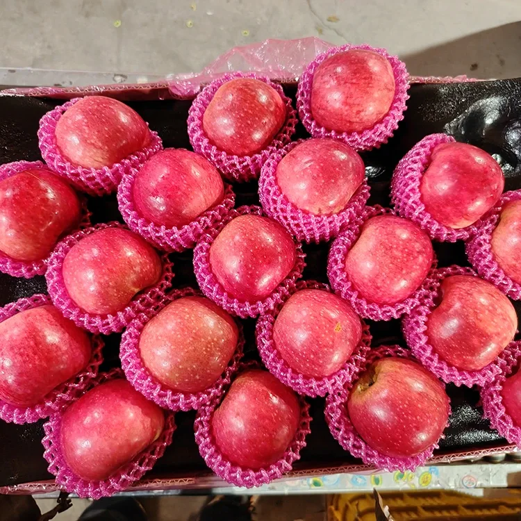 सुपीरियर ताजे जिगुआन सफरचंद